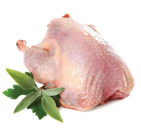 Chim bồ câu ta – Hiền Nhuần (300g – 400g/con)
